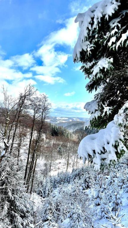 Stylische Wohnung, Toller Ausblick Selbst-check-in